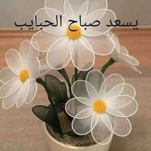 Meet your Posher, Enas